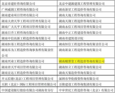 長沙市政府投資項目工程造價咨詢機構(gòu)庫項目中標公告解析